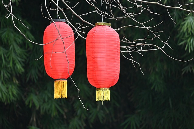 Spring Festival, Lykter, Natur, Festival