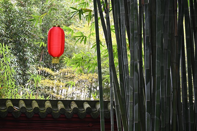Spring Festival, Natur, Lykter, Festival