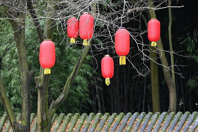 Spring Festival, Lykter, Festival, Natur
