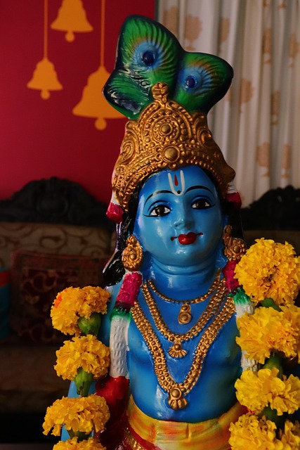 Glücklich Vishu, Vishu, Vishukkani