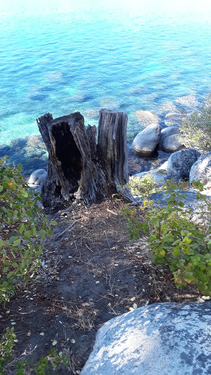 Stump Lake T Free photo on Pixabay Pixabay