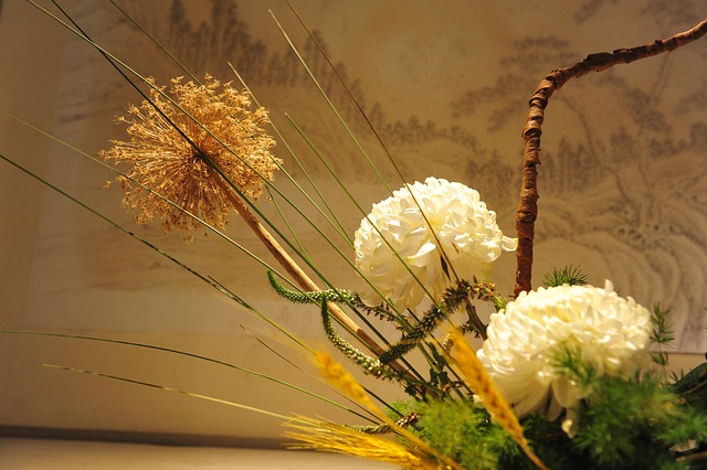 Free Spring Plant photo and picture