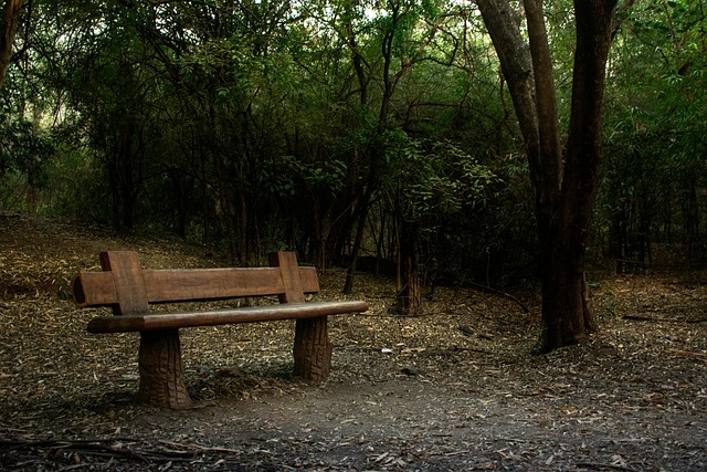 Free Bench Nature photo and picture