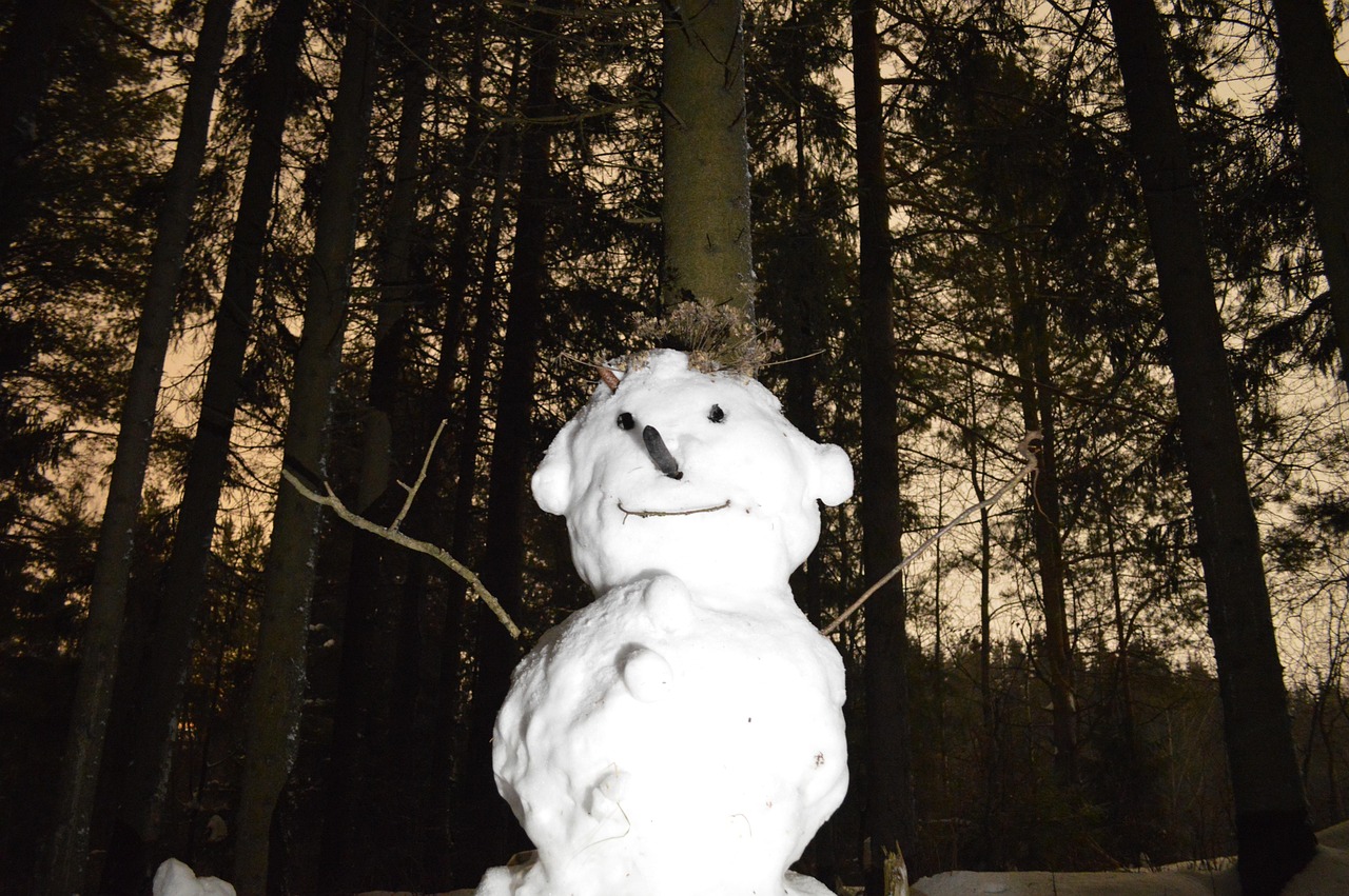 Duschvorhang Mit Schneemann-Muster – Winterliches Design Fürs Badezimmer, Wasserdicht, 183x183 Cm
