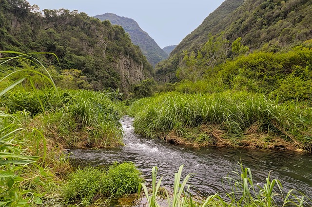 Free River Nature photo and picture