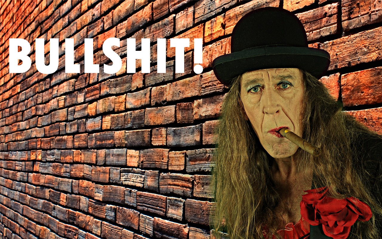 Bullshit Oh Yeah Then Who Are - Free photo on Pixabay - Pixabay