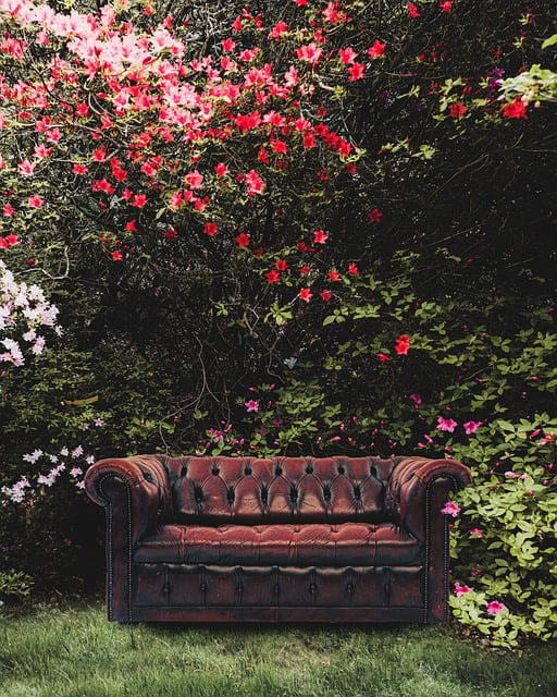 Free sofa garden furniture illustration