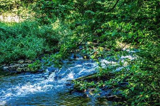 Free River Waterfall photo and picture