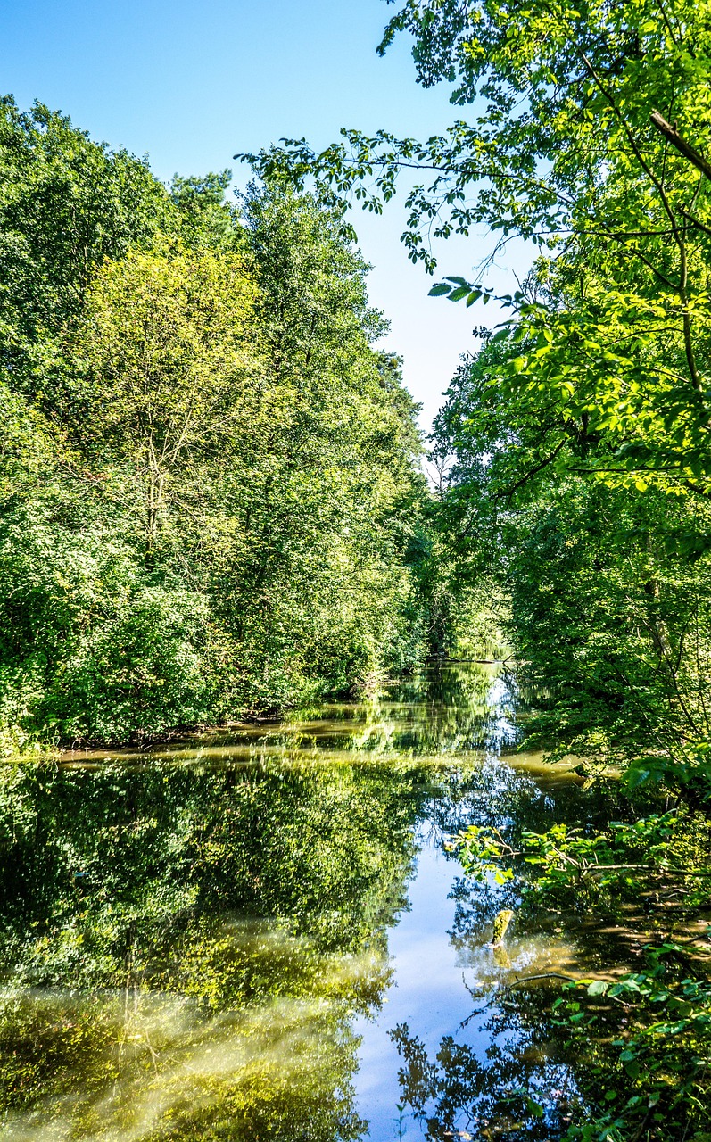 Free River Path photo and picture