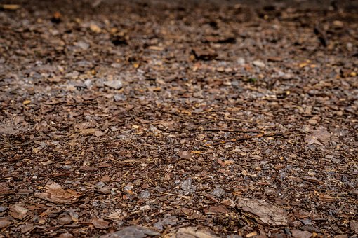 Free Dirt Sawmill photo and picture