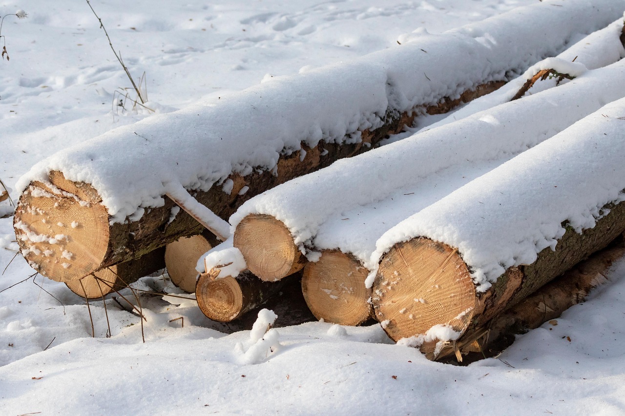 Log Wood Snow - Free photo on Pixabay
