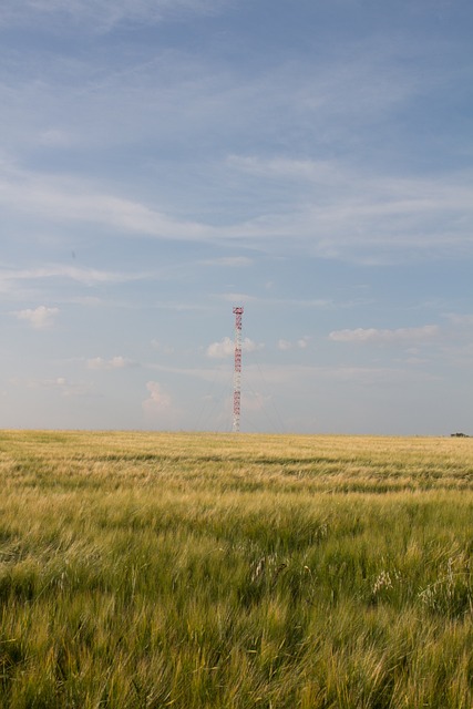 Free Field Margin photo and picture