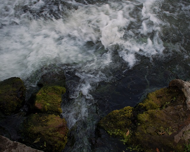 Free Aqua Water photo and picture