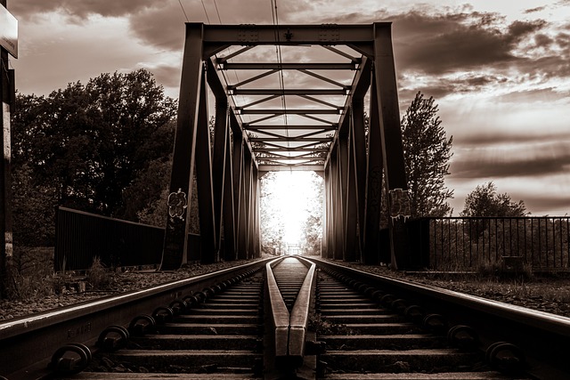 Free Bridge Train photo and picture