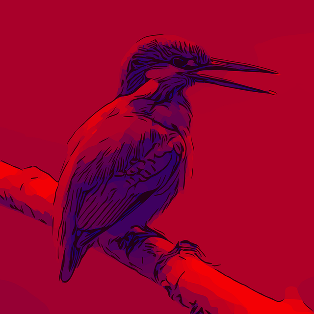 Free kingfisher bird avian vector