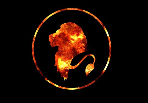 Icono, Logo, Fuego, Leon, Løve, Dyr