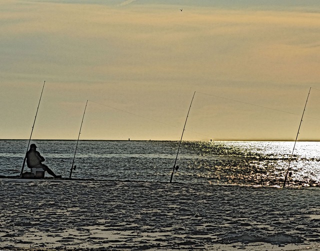 Free Fishing Sunrise photo and picture