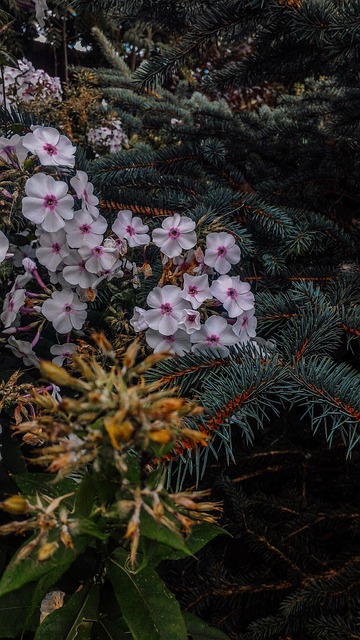 Free Tree Flower Wallpaper photo and picture