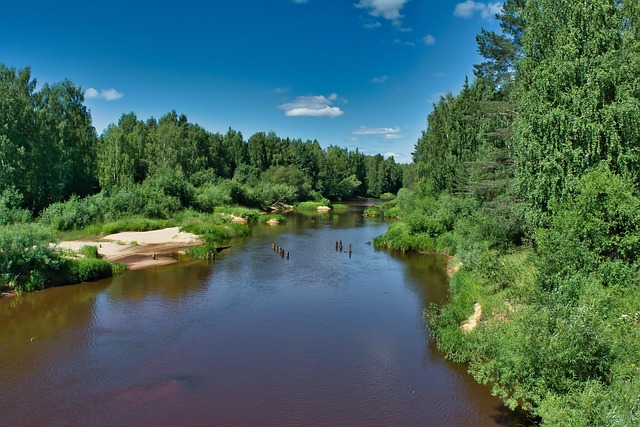 Free River Forest photo and picture