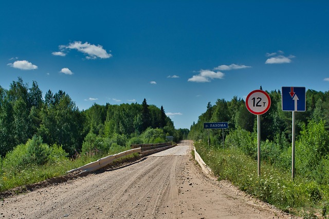 Free Road Forest photo and picture