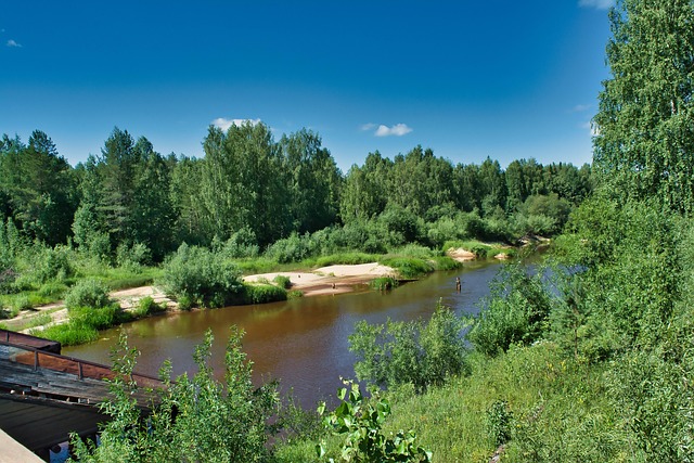 Free Summer River photo and picture