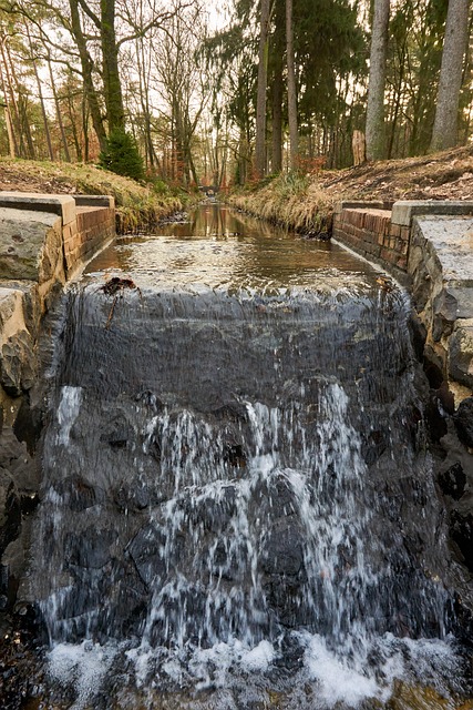 Free Nature Outdoors photo and picture