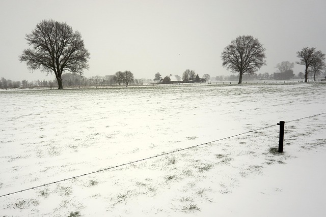 Free Winter Season photo and picture
