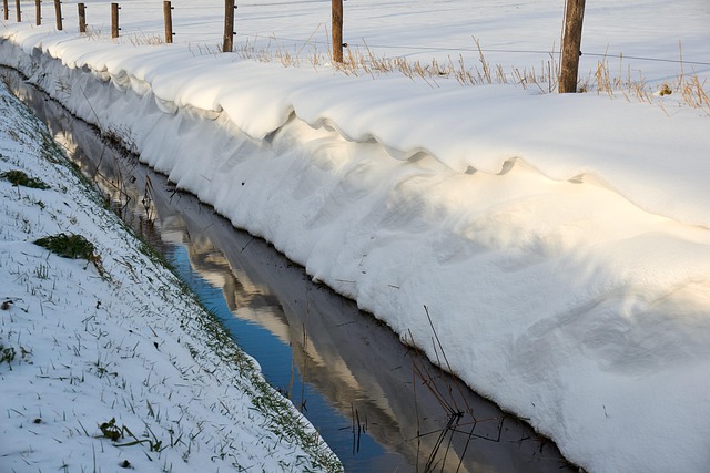 Free Winter Landscape photo and picture