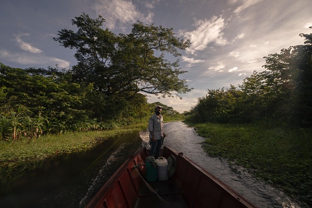 Bote, Hombre, Pescador, Naturaleza, Río