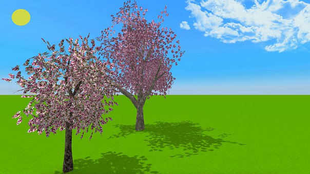 桜の木 木に関する50以上の無料イラスト Pixabay