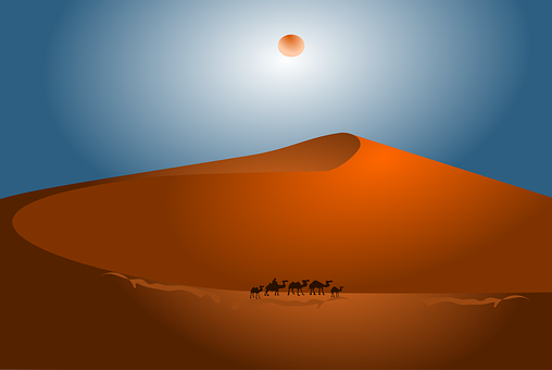 Free Desert Camel vector and picture