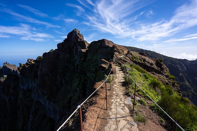 Free Nature Hike photo and picture