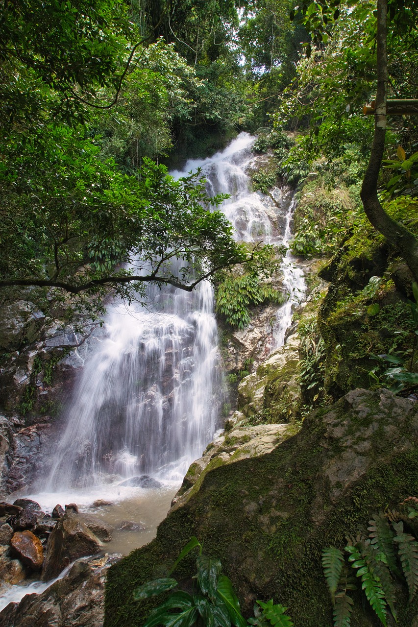 Download free HD stock image of To Travel Vacation Free To Travel Vacation photo and picture