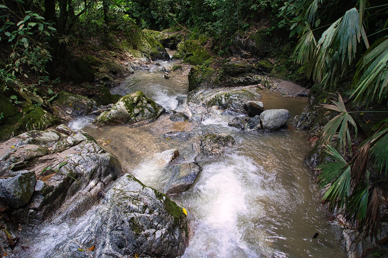 Download free HD stock image of Nature Stream Free Nature Stream photo and picture