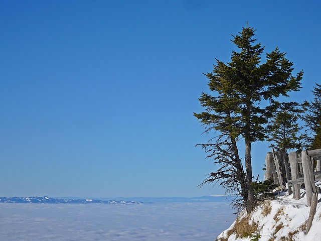 Free Mountains Alps photo and picture