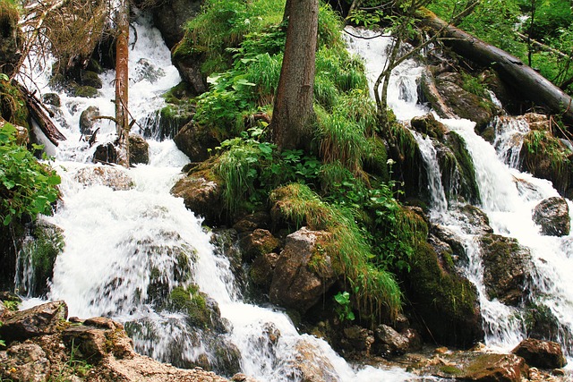 Free Bach Waterfall photo and picture