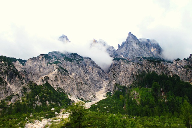 Free Mountains Fog photo and picture