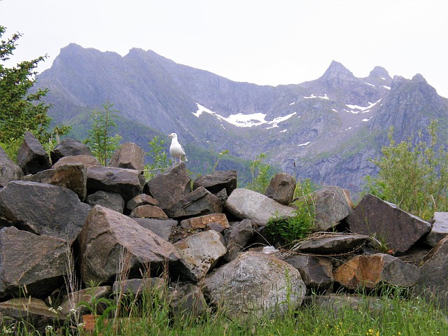 Free Stones Rock photo and picture