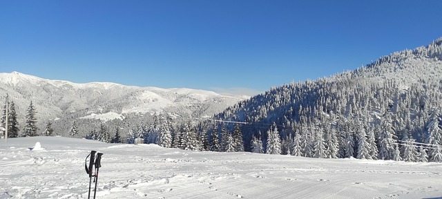 Stiol Maramures Sac Stiol - Photo gratuite sur Pixabay - Pixabay