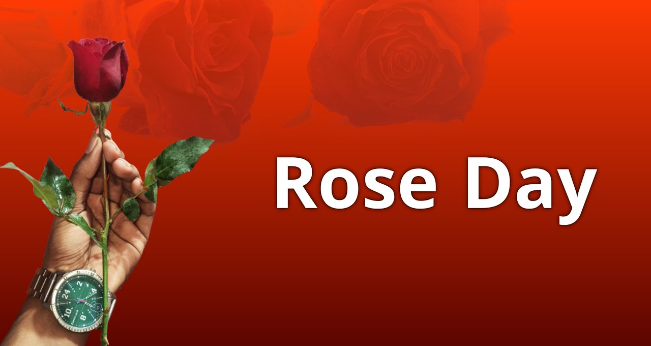Rose Flower Love Free photo on Pixabay Pixabay