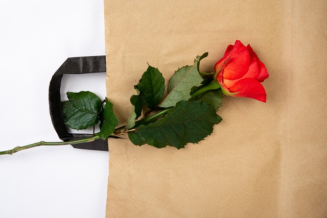 Free Rose Paper photo and picture