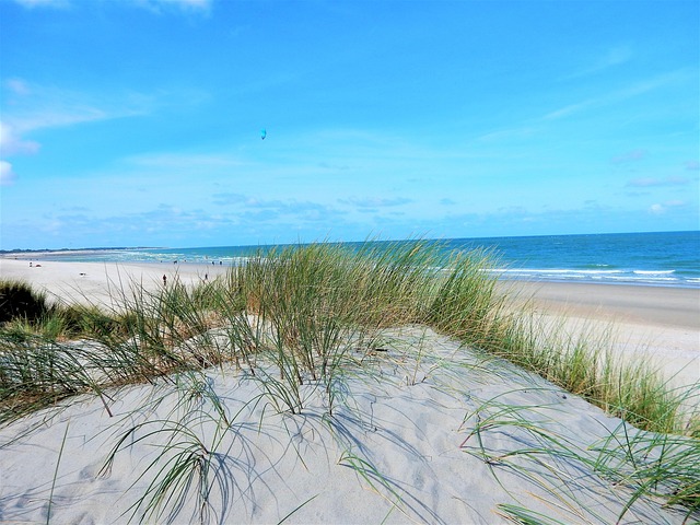 Sable Mer La Nature Sable - Photo gratuite sur Pixabay - Pixabay