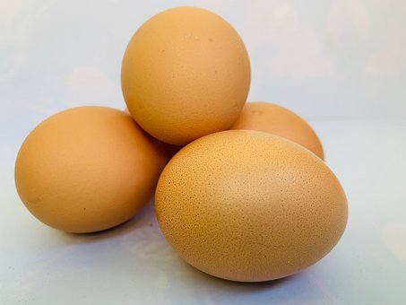 Free Egg Protein photo and picture