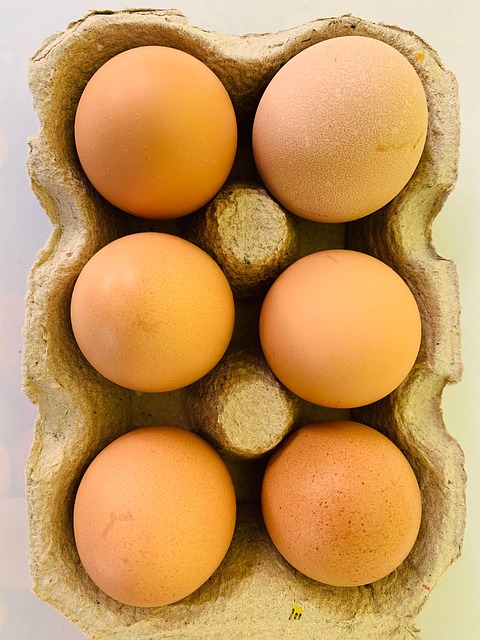 Free Eggs Chicken Eggs photo and picture