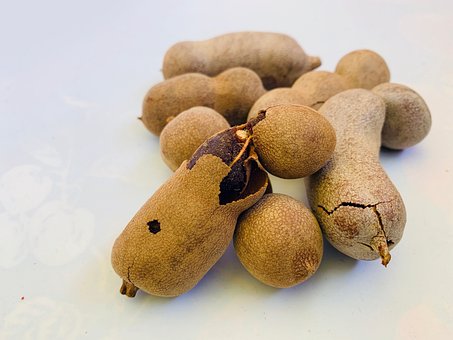 Free Tamarind Tamarindus Indica photo and picture