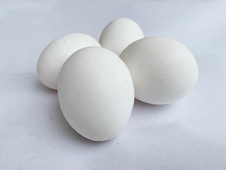 Free White Eggs Eggs photo and picture