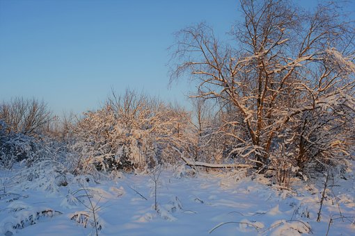 Free Winter Landscape photo and picture
