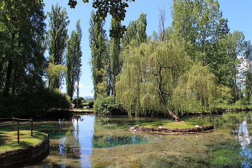 Free Pond Nature photo and picture