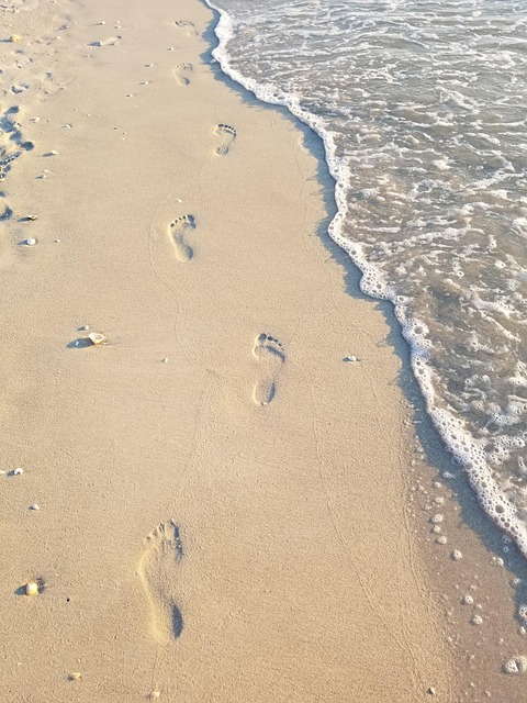 Free Beach Sand photo and picture