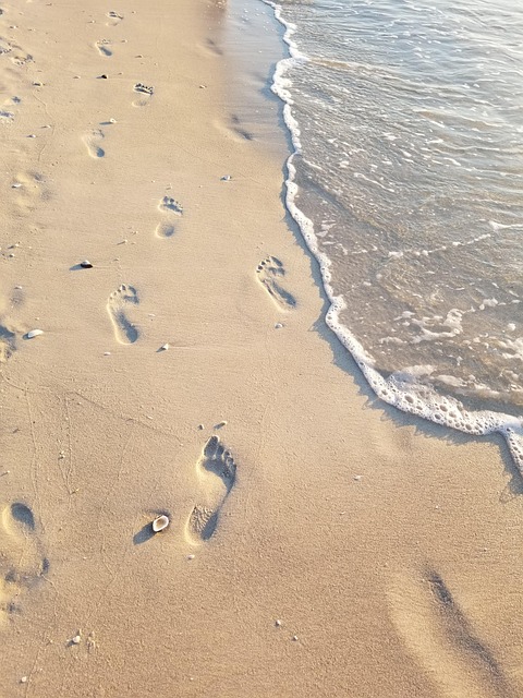 Free Beach Water photo and picture